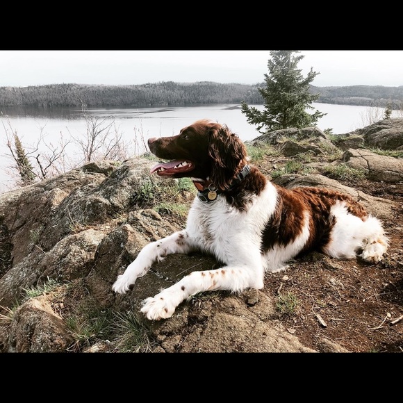 Meet your Posher, Vikki - Picture 1 of 1